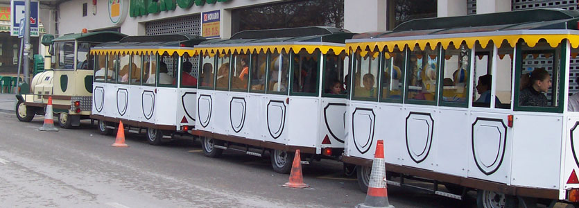 Trenes turisticos