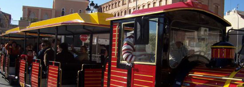 Trenes turisticos